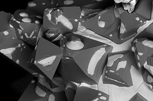 黄山黄山蔡司显微镜